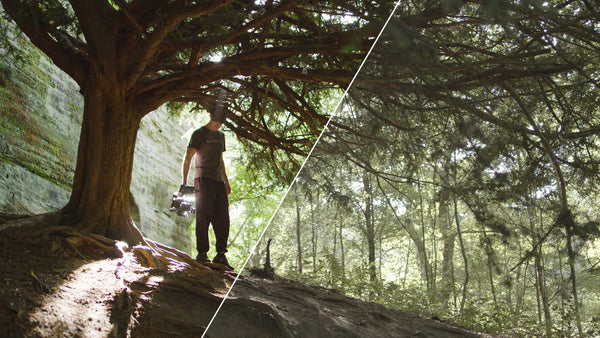 Preview of Bounce Color True Log Conversion LUTs